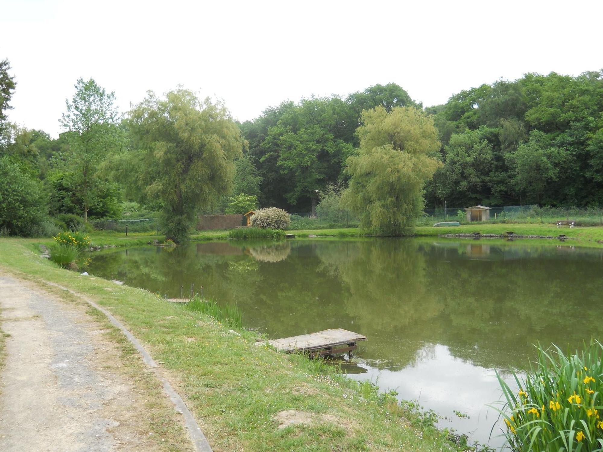 Le Relais De La Haute Sambre Lobbes Luaran gambar